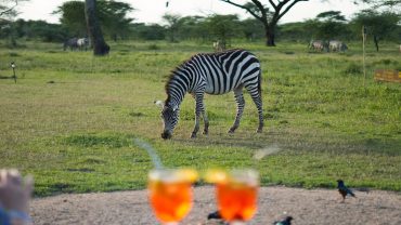 Discovering Tanzania: Insider Safari Tips & Zanzibar Escapes