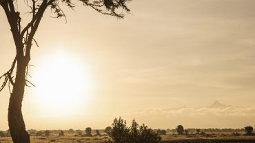 Botswana: A Land of Enchanting Contrasts