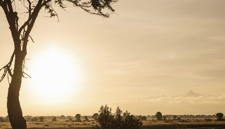 A Kenyan Safari Adventure of a Lifetime 