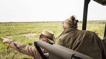 The History of Safaris and 10 Wildlife Encounters You Can Experience With Somak Luxury Travel