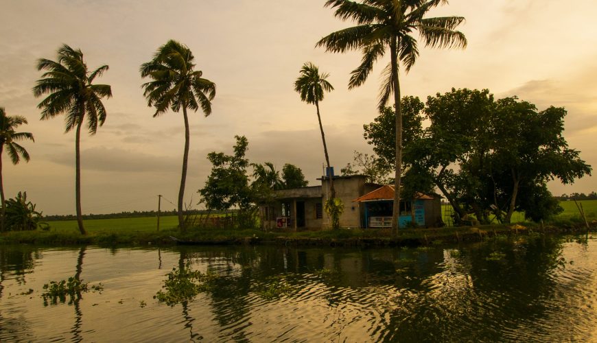Discover Kerala: Your Ultimate Travel Guide to God’s Own Country