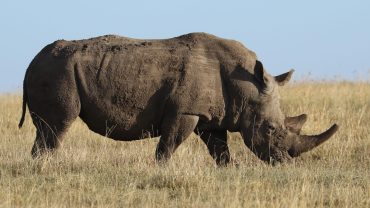 Travel Responsibly:  Explore the World, Protect Our Future