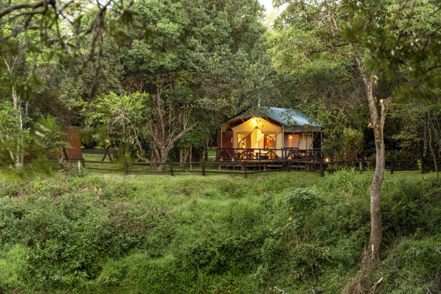 Tanzania: Private Safari & Bawe Island Zanzibar | 11 Nights: Awesome Wildlife Tour & Island Escape