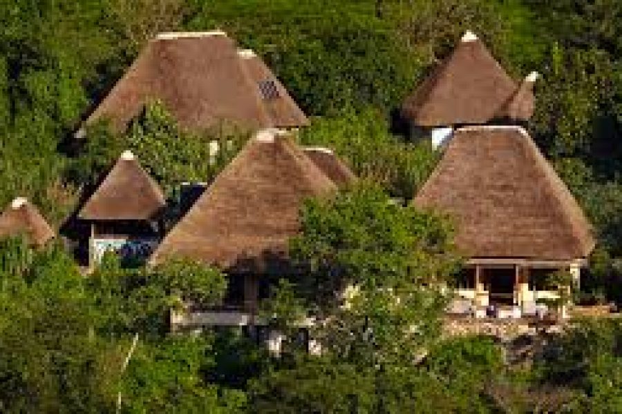 Bwindi Lodge