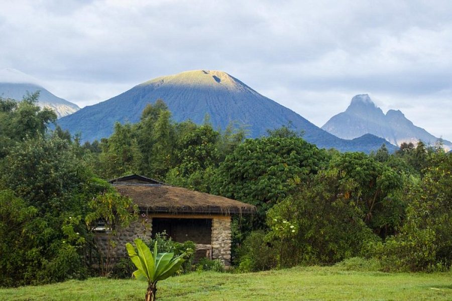 Gorilla Mountain View Lodge