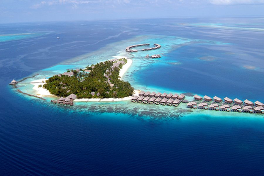Coco Bodu Hithi