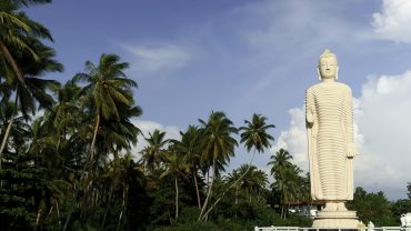 Sri Lanka Tea, Trains, and Tranquillity: Discovering Sri Lanka’s Hill Country