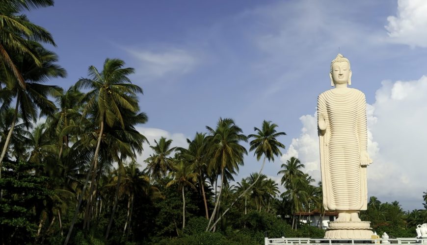 Sri Lanka Tea, Trains, and Tranquillity: Discovering Sri Lanka’s Hill Country
