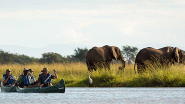 African Safari Diaries: The true circle of life!