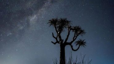 Astro Tourism: Discover Africa’s Dark Skies