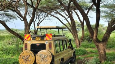 Safari in Kenya: Somak Signature Safaris